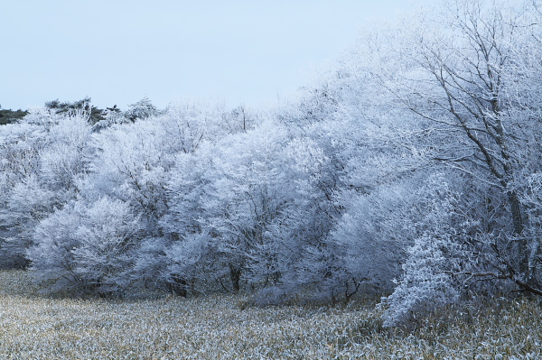 写真集 No.15 －霧氷の皿ヶ峰－