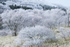 皿ヶ峰の霧氷風景－写真集