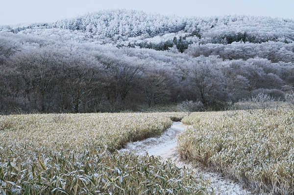 写真集 No.18 －霧氷の皿ヶ峰－