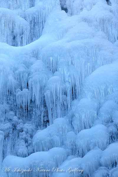 写真集 No.3 －白猪の滝：氷の芸術－