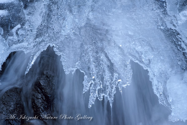 写真集 No.10 －白猪の滝：氷の芸術－