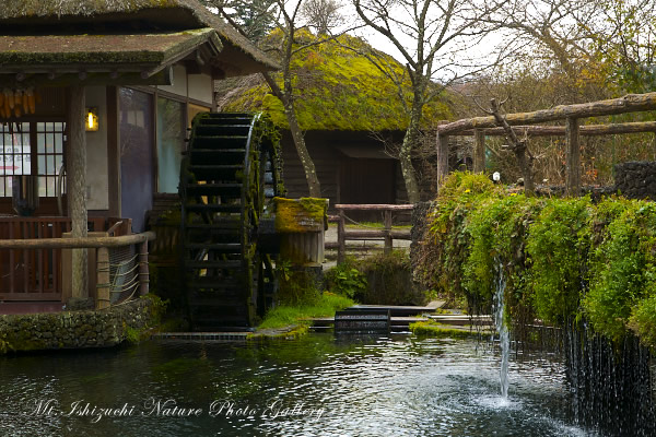 写真集 No.18 －富士五湖巡り－