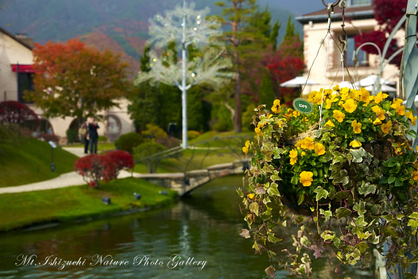 写真集 No.20 －富士五湖巡り－