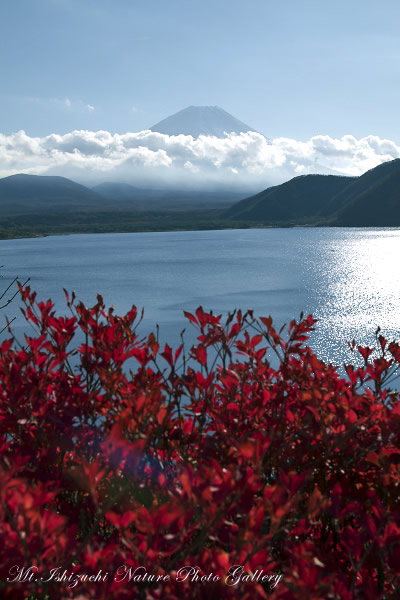 写真集 No.39 －富士五湖巡り－