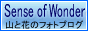 ブログ「Sense of Wonder｜センス・オブ・ワンダー」にて山野草の撮影情報も発信中