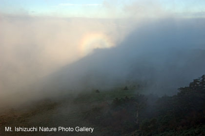 brocken (14)