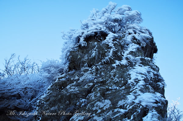 写真集 No.16 －春の尾根に霧氷の華咲く－