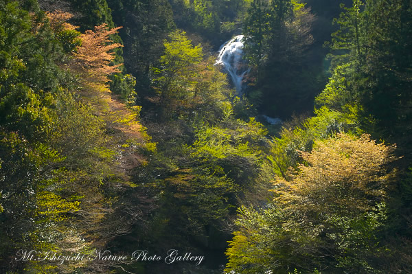 写真集 No.18 －春の尾根に霧氷の華咲く－