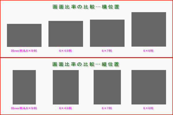 各種フォーマットのサンプル