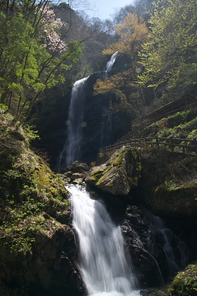 皿ヶ峰＆白猪の滝 散策レポート画像08