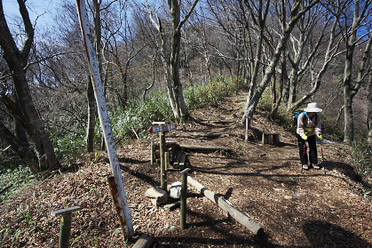 皿ヶ峰＆白猪の滝 散策レポート画像02