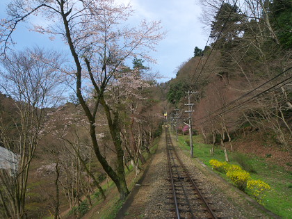 高尾山・裏高尾・日影のレポート画像02