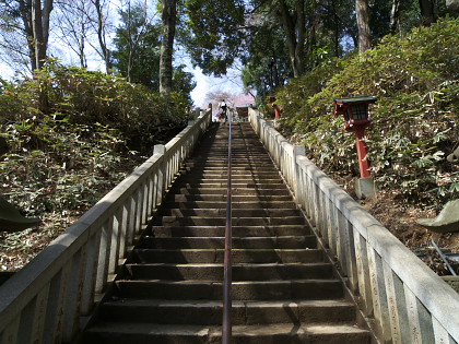 高尾山・裏高尾・日影のレポート画像08