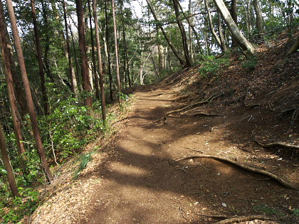 高尾山・裏高尾・日影のレポート画像15