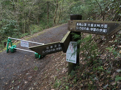 高尾山・裏高尾・日影のレポート画像22