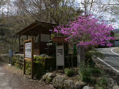 高尾山・裏高尾・日影のレポート画像34